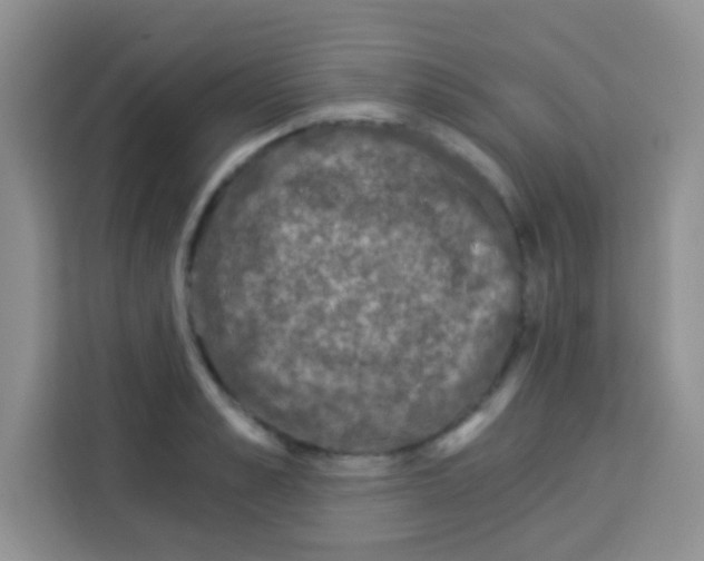 X0000113020989200910081156