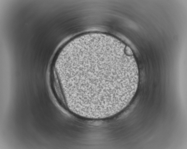 X0000113020991200910081156