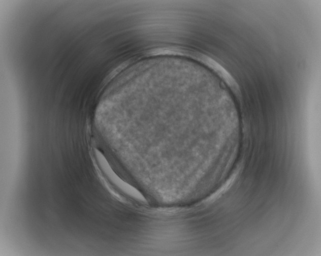 X0000113020993200910081156