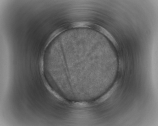 X0000113020994200910081156