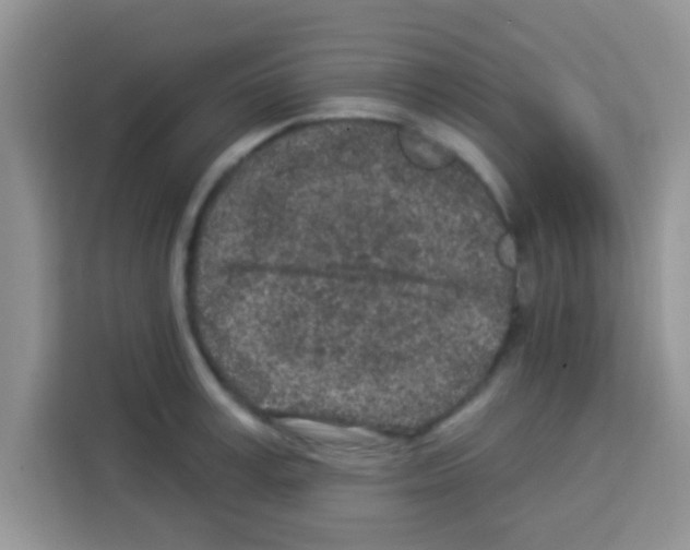 X0000113020995200910081156