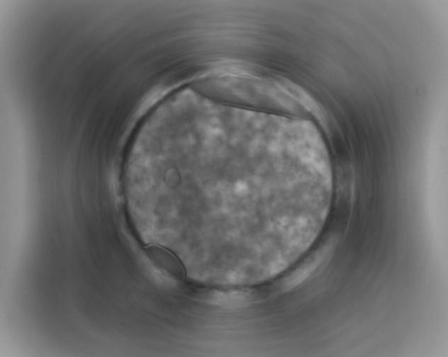 X0000113020997200910081156