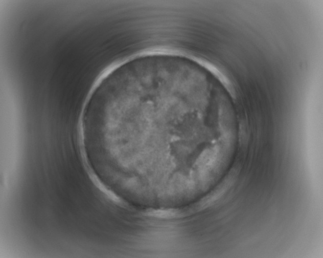 X0000113020998200910081156