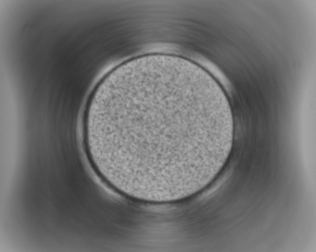 X0000113020999200910081156