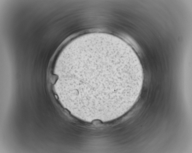 X0000113021000200910081156