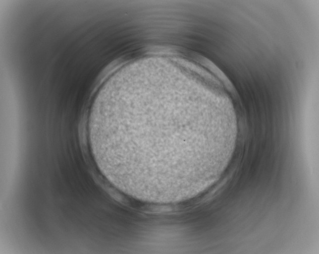 X0000113021002200910081156