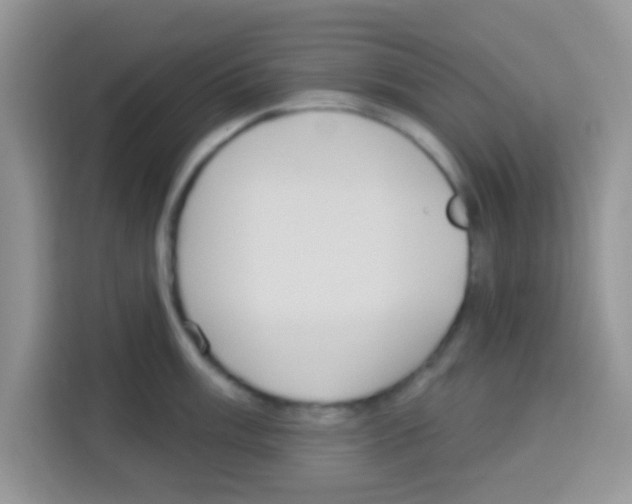 X0000113021003200910081156