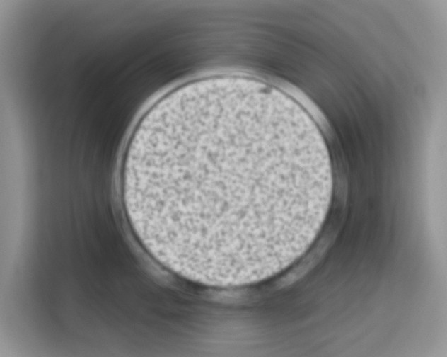 X0000113021004200910081156