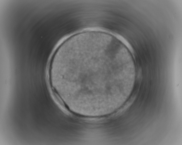 X0000113021005200910081156