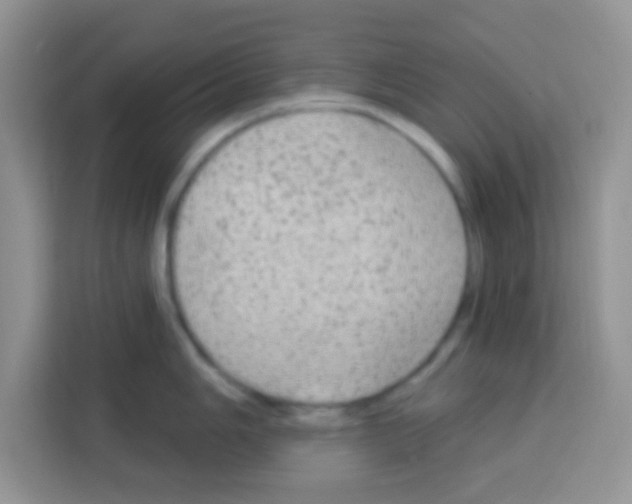 X0000113021006200910081156