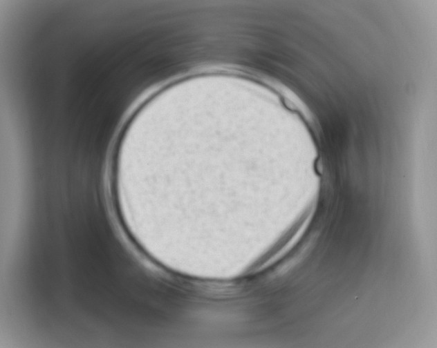 X0000113021007200910081156