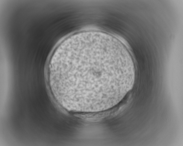 X0000113021008200910081156