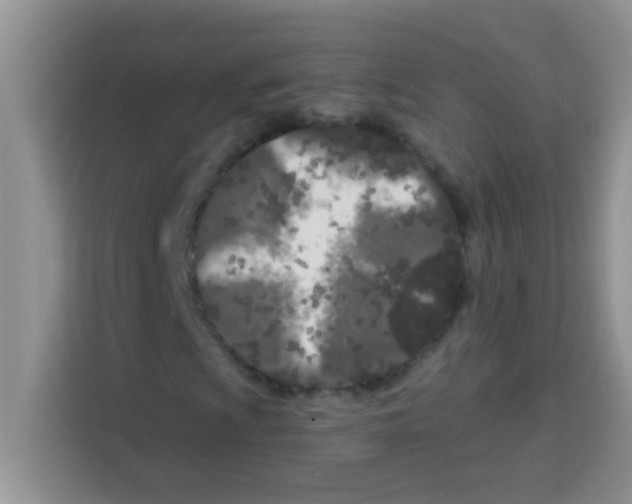 X0000113021009200910081155