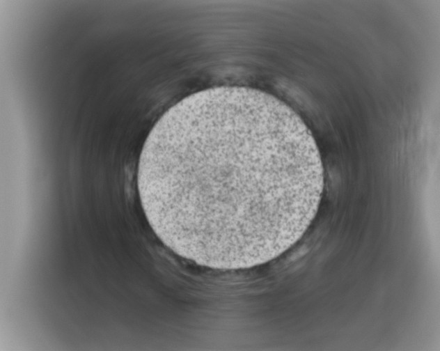 X0000113021010200910081155