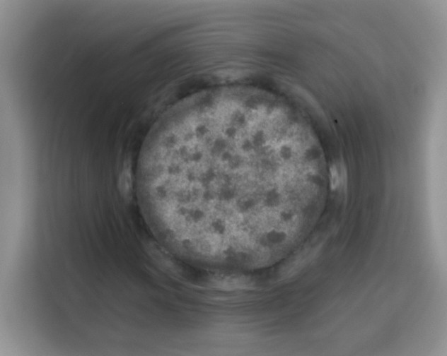 X0000113021011200910081155