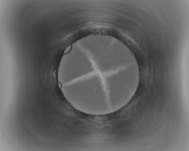 X0000113021013200910081155