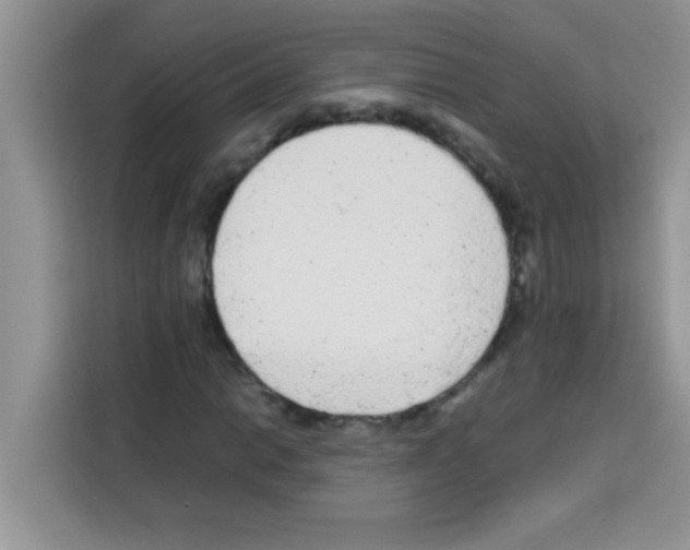 X0000113021014200910081155