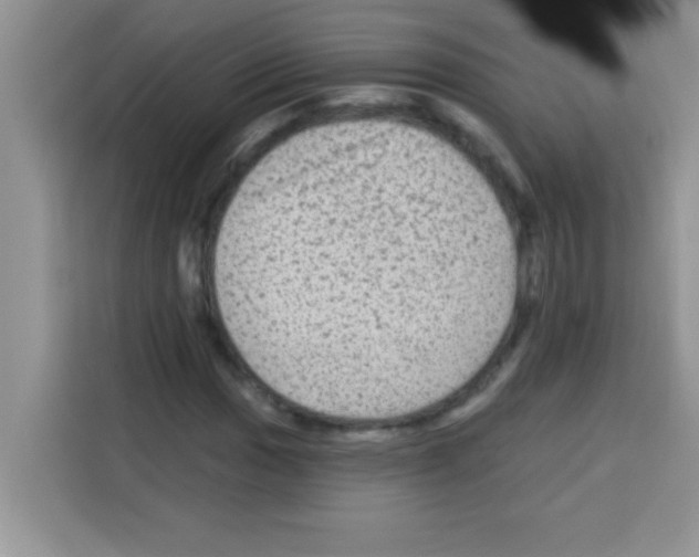 X0000113021017200910081155