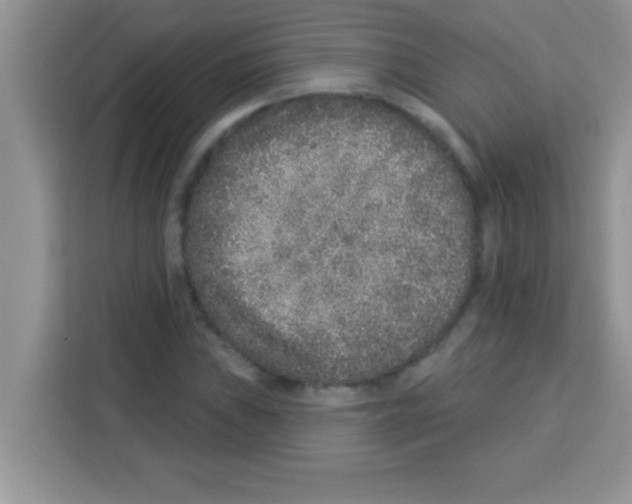 X0000113021019200910081155