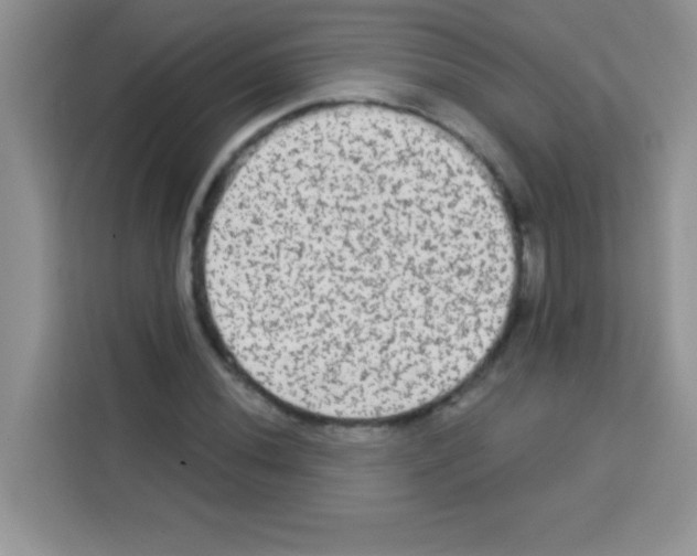 X0000113021020200910081155