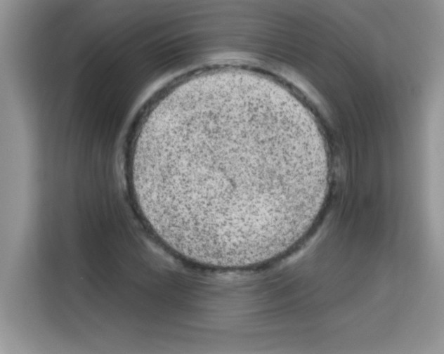 X0000113021022200910081155