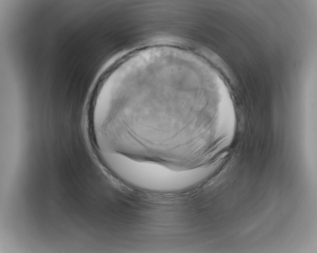 X0000113021024200910081155