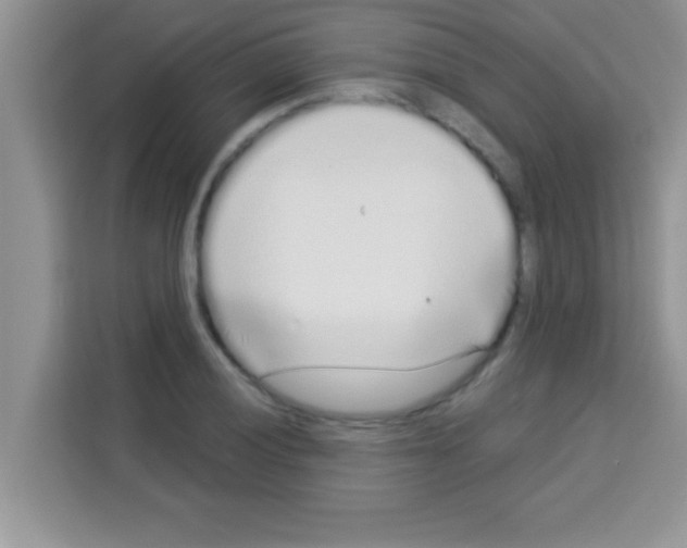 X0000113021028200910081155