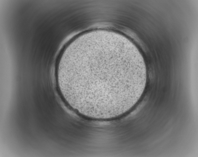 X0000113021030200910081155