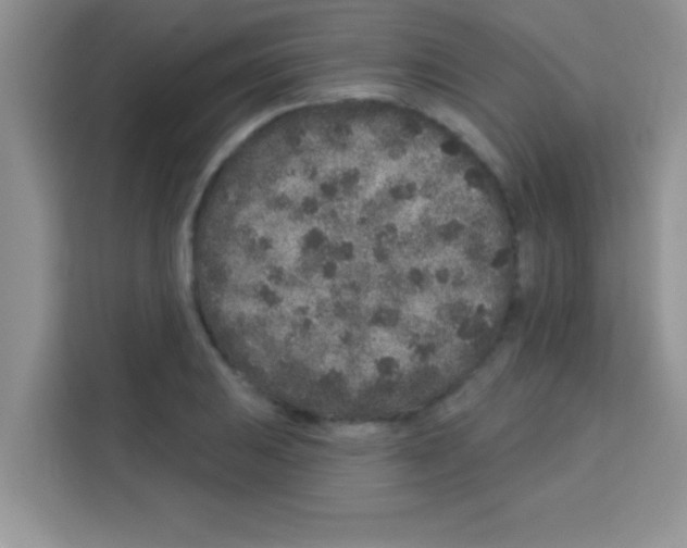 X0000113021031200910081155