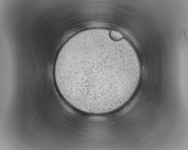 X0000113021033200910081156