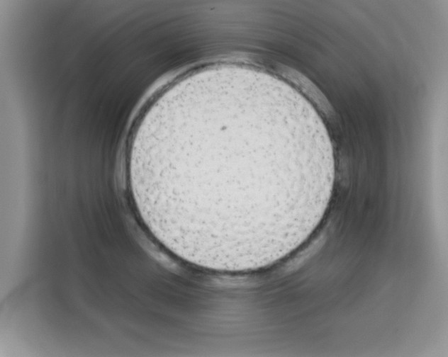 X0000113021036200910081156