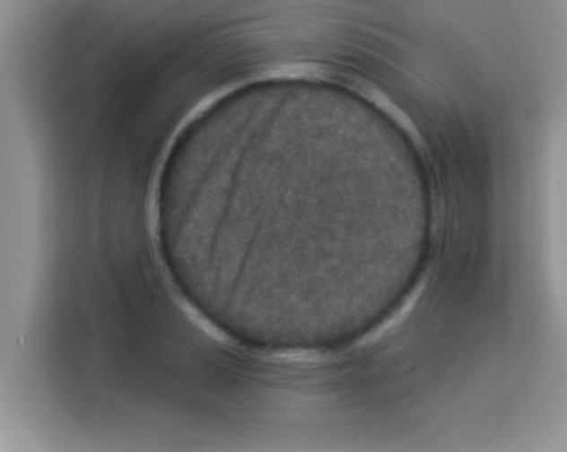 X0000113021037200910081156