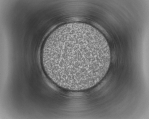 X0000113021039200910081156