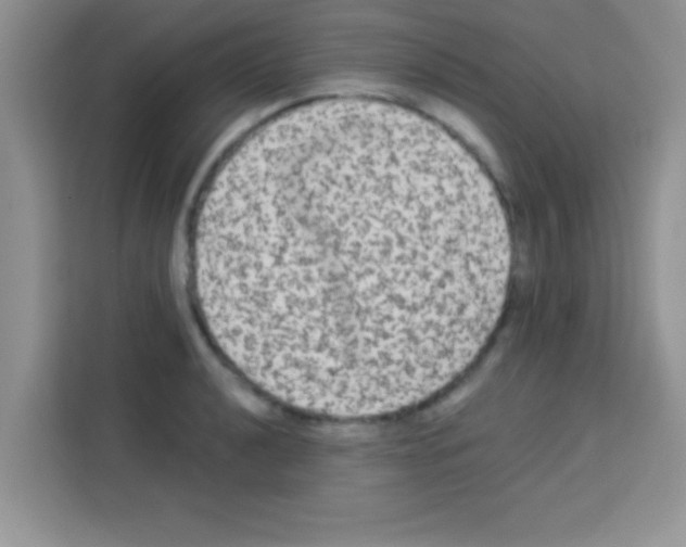 X0000113021040200910081156