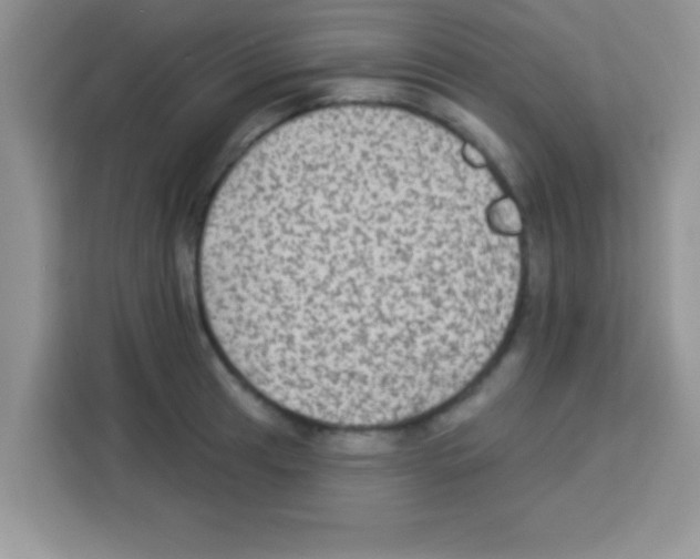 X0000113021041200910081156