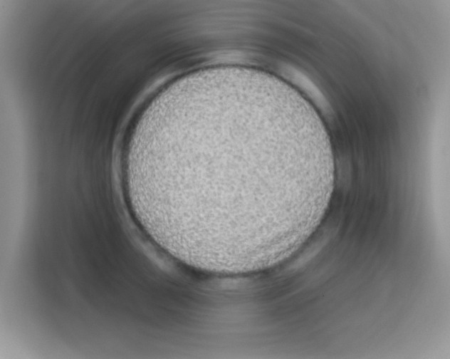 X0000113021043200910081156