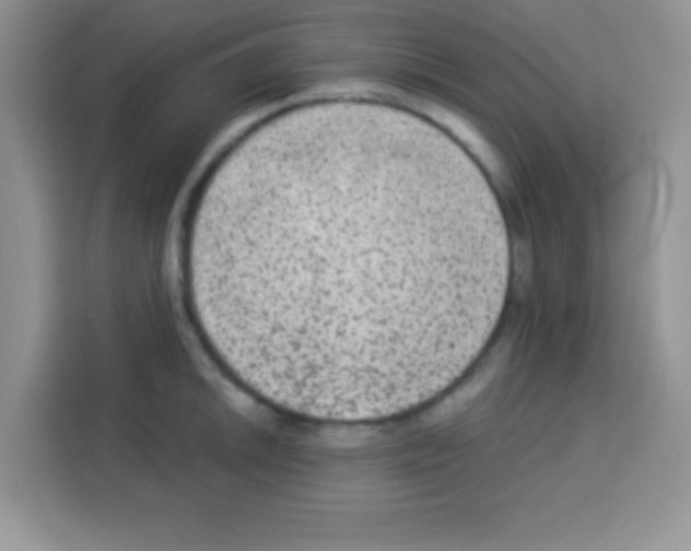 X0000113021046200910081156