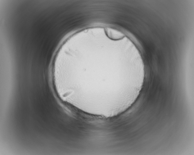 X0000113021048200910081156