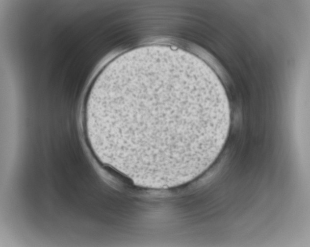 X0000113021050200910081156