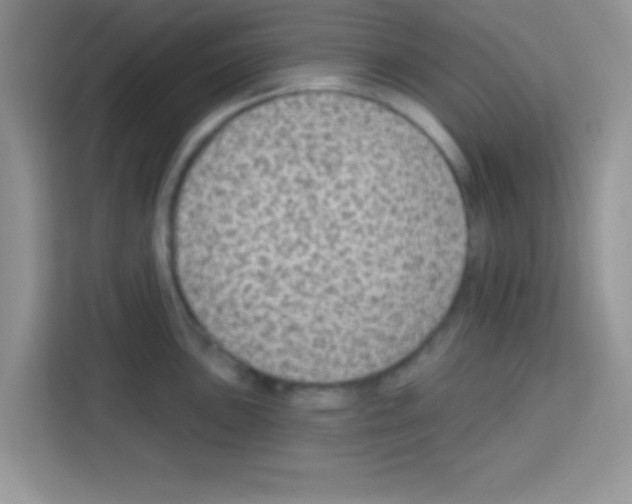 X0000113021051200910081156