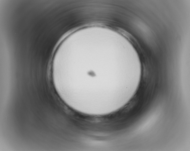 X0000113021052200910081156