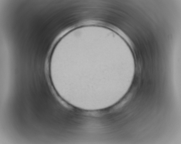 X0000113021053200910081156