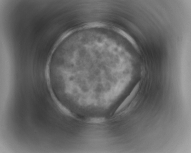 X0000113021055200910081156