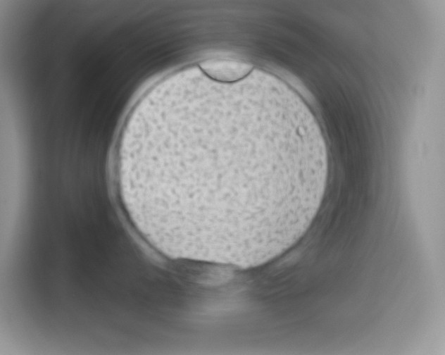 X0000113021056200910081156