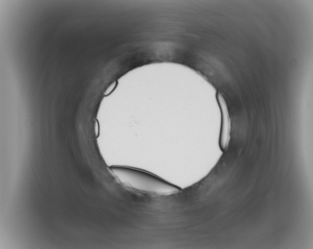 X0000113021057200910081155