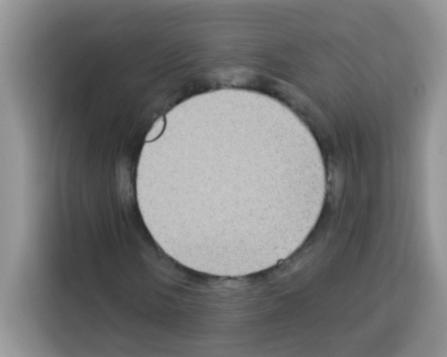 X0000113021058200910081155