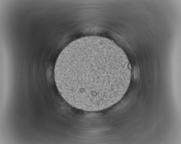 X0000113021059200910081155