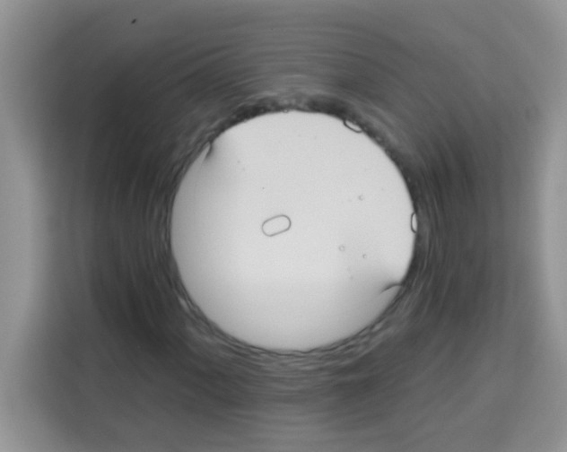 X0000113021060200910081155