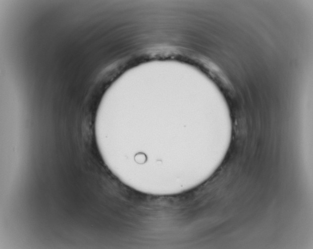 X0000113021063200910081155