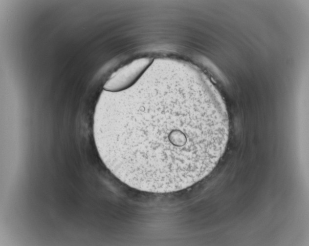 X0000113021064200910081155